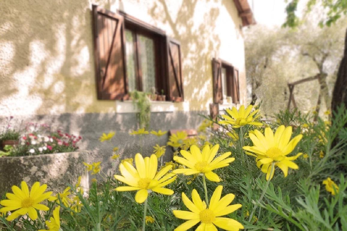 Agriturismo Macchiapiede Sala Consilina Extérieur photo